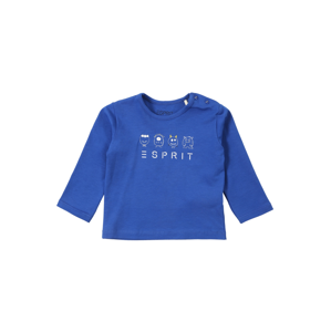 ESPRIT Tričko  modrá / bílá