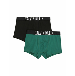 Calvin Klein Underwear Spodní prádlo  zelená / černá / bílá
