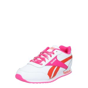 Reebok Classic Tenisky 'ROYAL CLJOG'  oranžová / bílá / pink