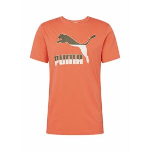 PUMA Funkční tričko  oranžová