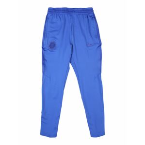 NIKE Sportovní kalhoty  modrá