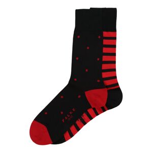 FALKE Ponožky 'Even Stripe Dot 2-Pack'  červená / námořnická modř