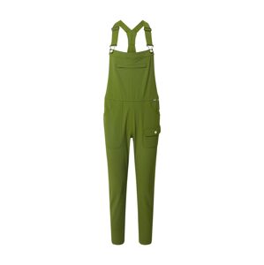BURTON Outdoorové kalhoty 'CHASEVIEW'  zelená