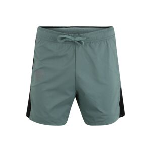 Superdry Sportovní kalhoty  zelená / černá