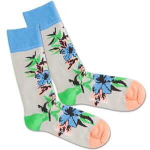 DillySocks Ponožky 'Old Flower'  modrá / šedá